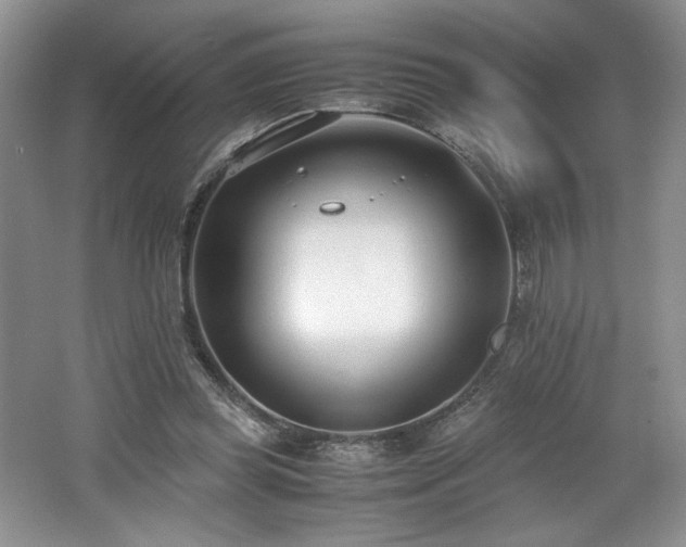 X0000062670349200512211341