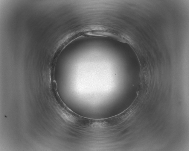 X0000062670350200512211341