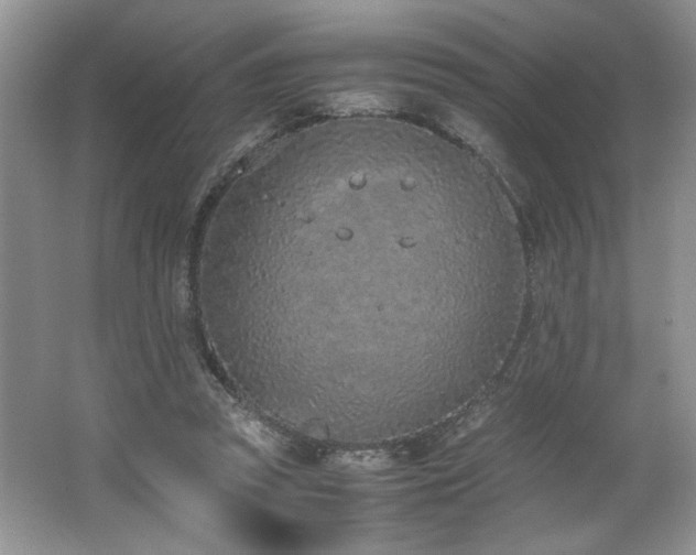 X0000062670353200512211341