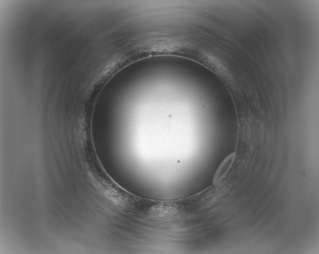 X0000062670354200512211341