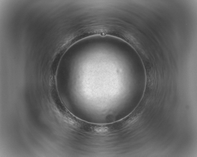 X0000062670355200512211341