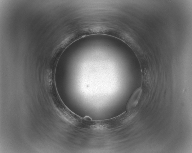 X0000062670356200512211341