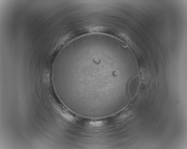 X0000062670357200512211341