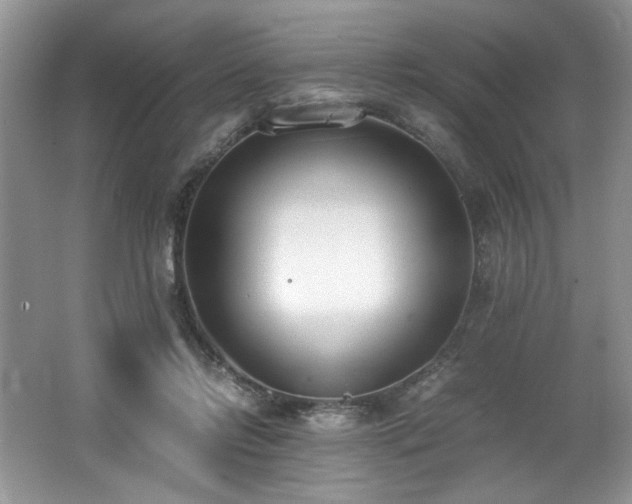 X0000062670358200512211341