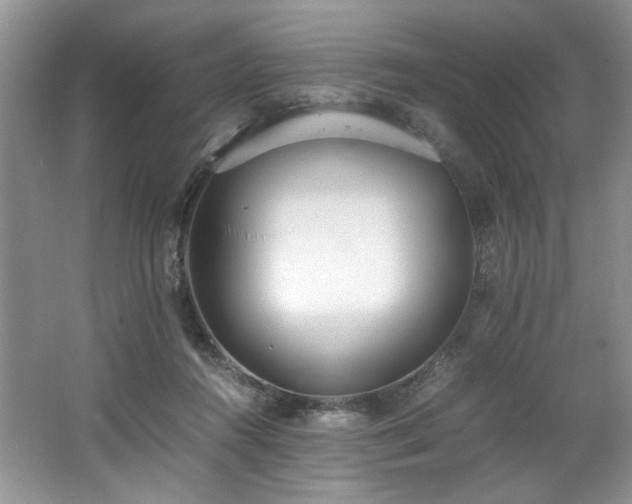 X0000062670360200512211341