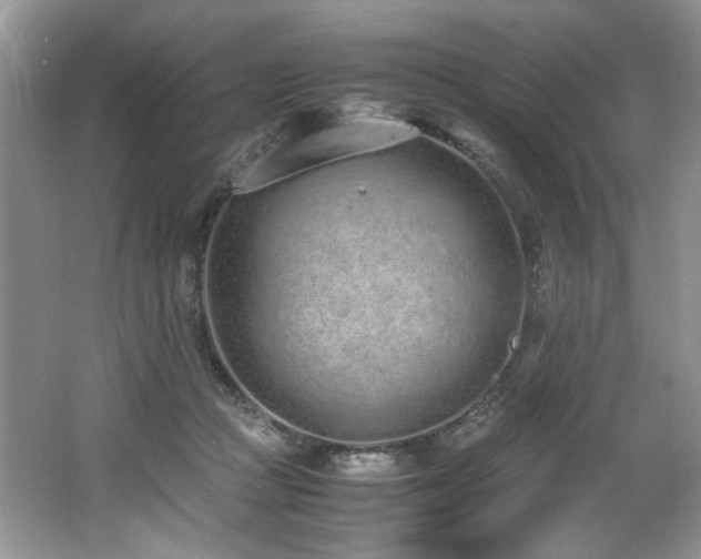 X0000062670361200512211341