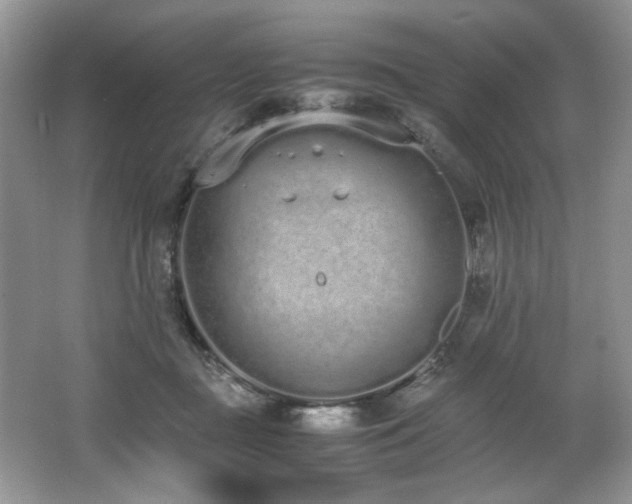 X0000062670363200512211341