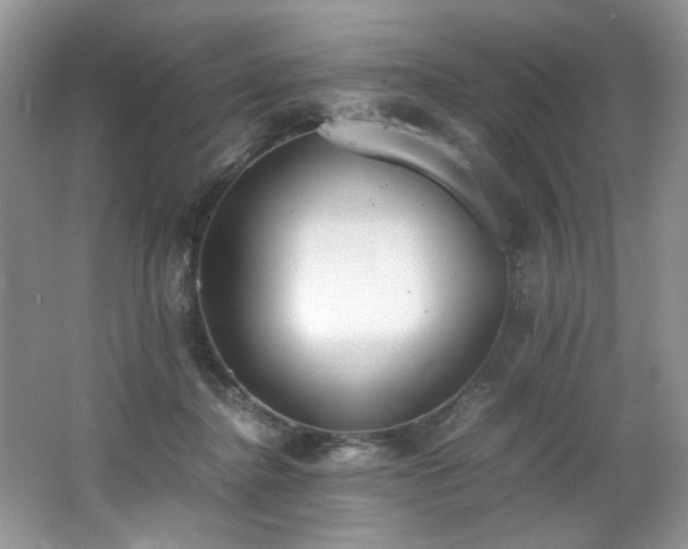 X0000062670364200512211341