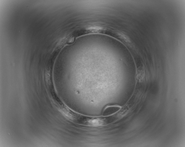 X0000062670365200512211341