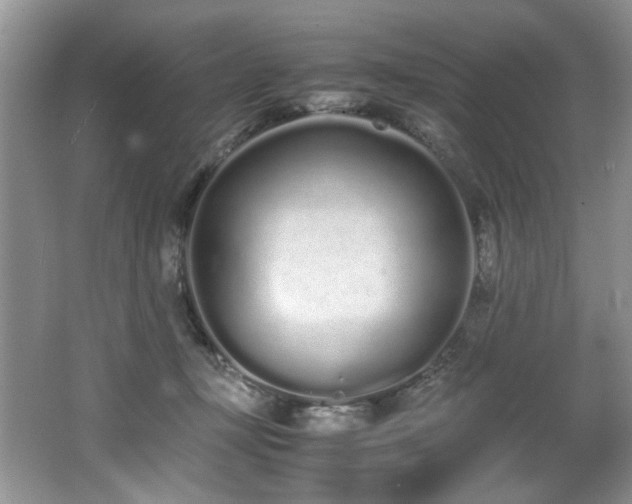 X0000062670367200512211341