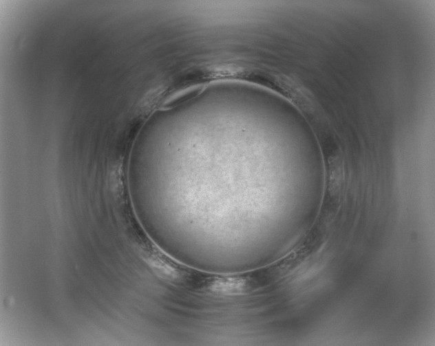 X0000062670369200512211341