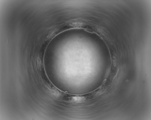 X0000062670371200512211341