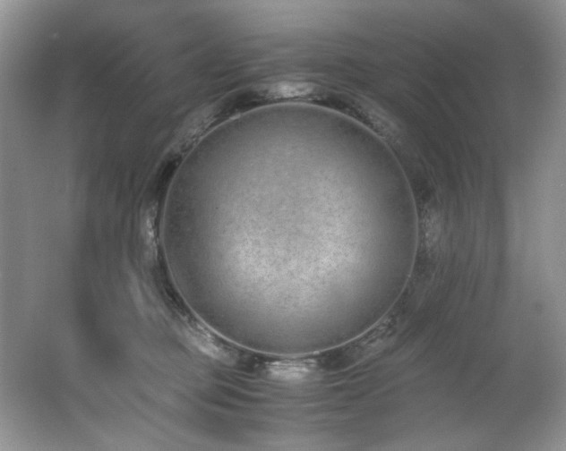 X0000062670373200512211341