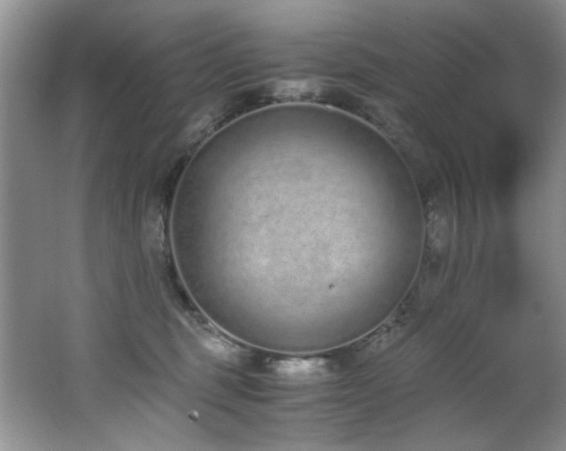 X0000062670375200512211341