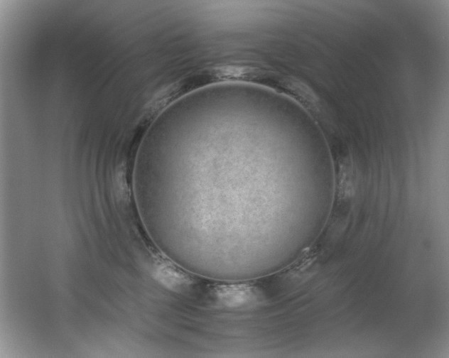 X0000062670377200512211341