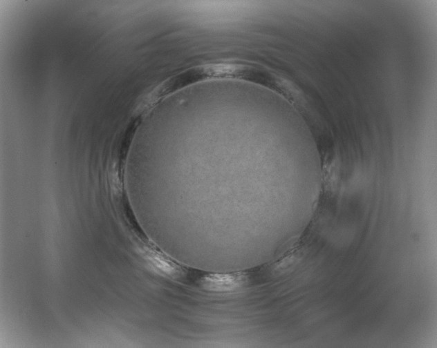 X0000062670381200512211342