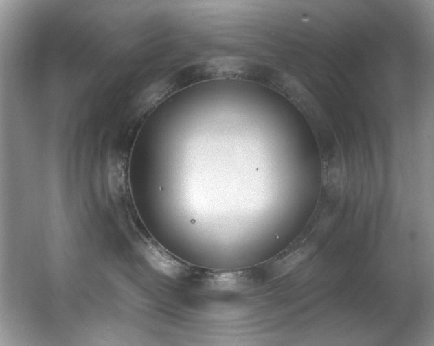 X0000062670382200512211342