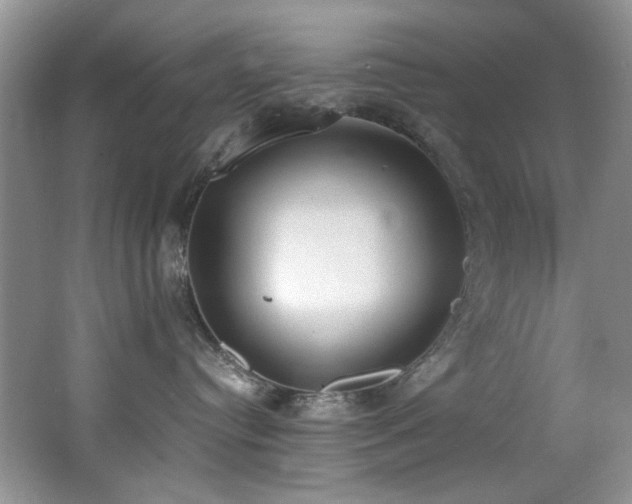 X0000062670384200512211342