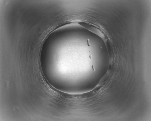 X0000062670385200512211341