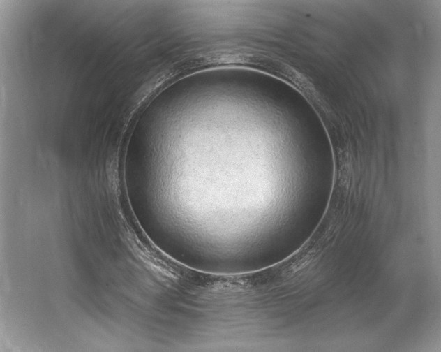 X0000062670386200512211341