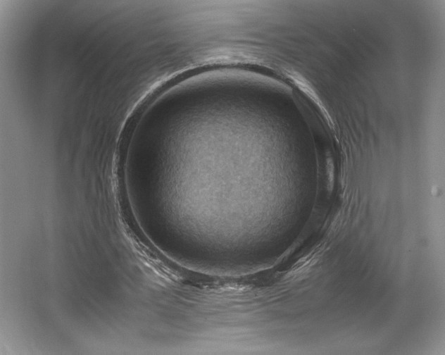 X0000062670387200512211341