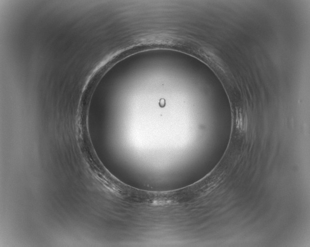 X0000062670388200512211341