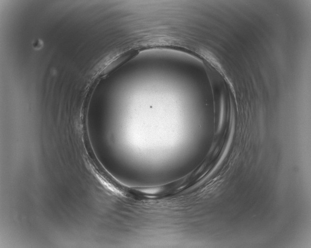 X0000062670389200512211341