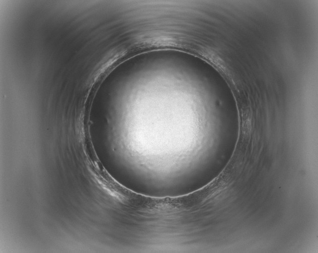 X0000062670390200512211341