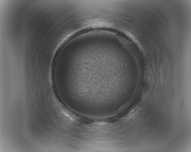 X0000062670391200512211341