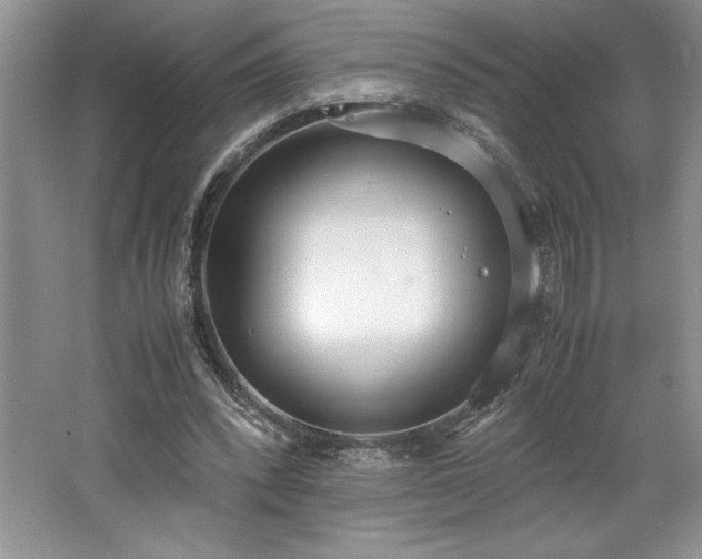 X0000062670392200512211341