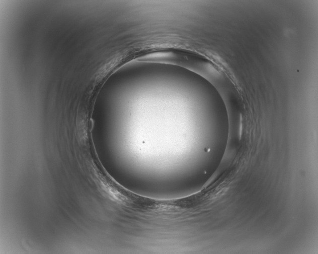 X0000062670393200512211341