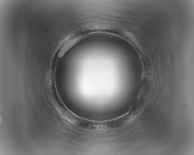 X0000062670395200512211341