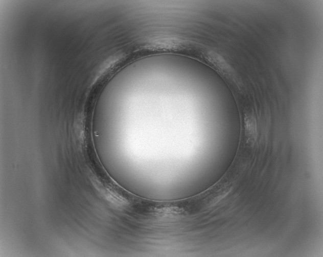 X0000062670396200512211341