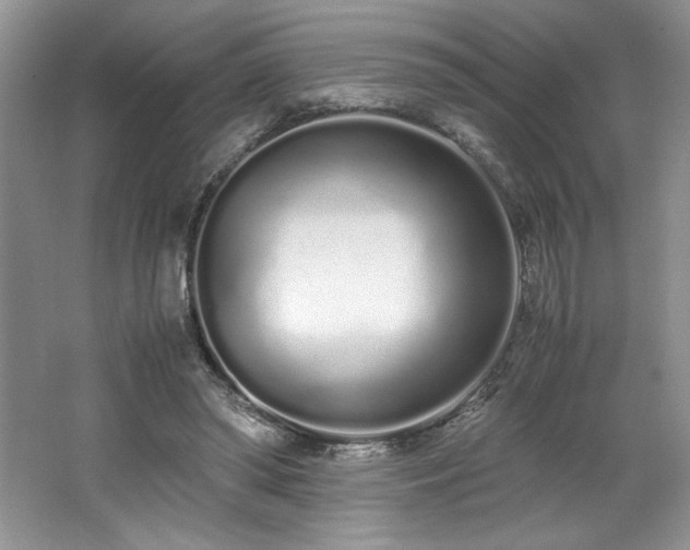 X0000062670398200512211341