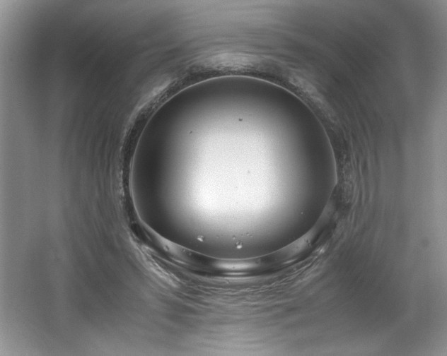 X0000062670399200512211341