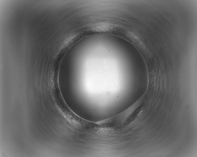 X0000062670400200512211340