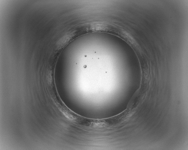 X0000062670401200512211340