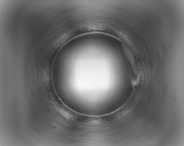 X0000062670402200512211340