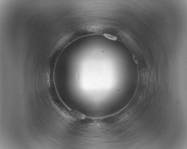 X0000062670404200512211340