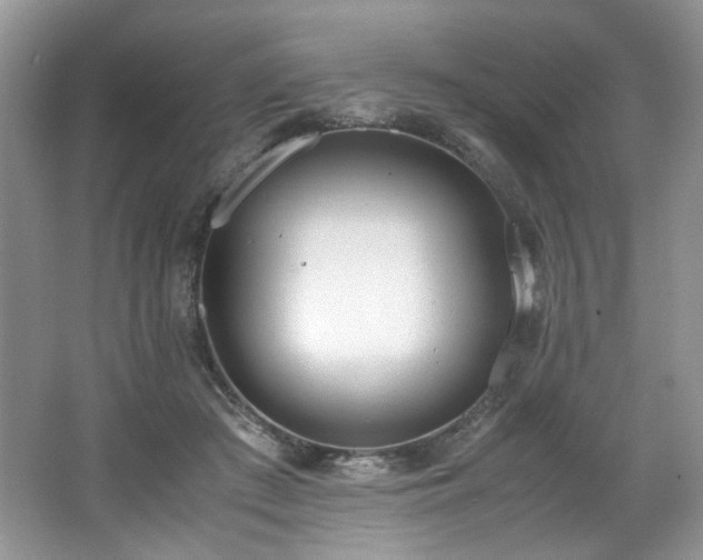 X0000062670409200512211340