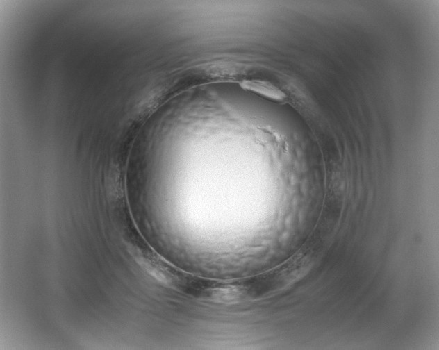 X0000062670411200512211340