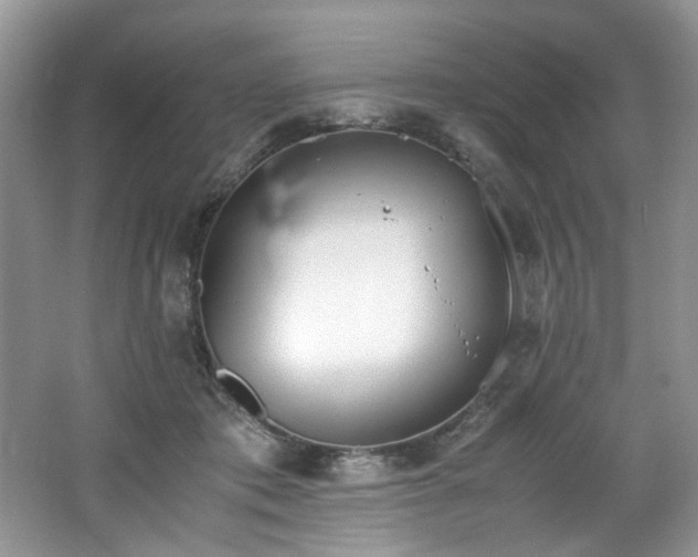 X0000062670413200512211340