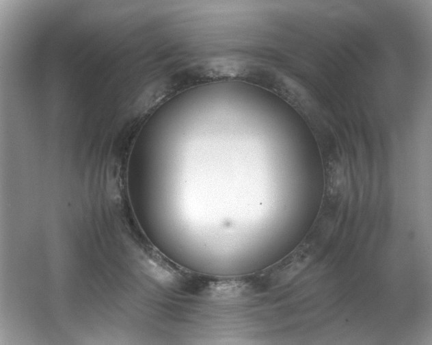 X0000062670414200512211340