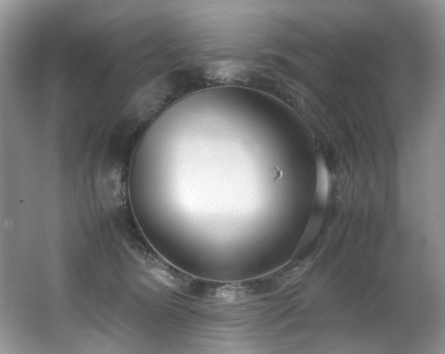 X0000062670420200512211340