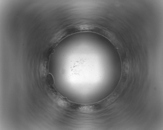 X0000062670422200512211340