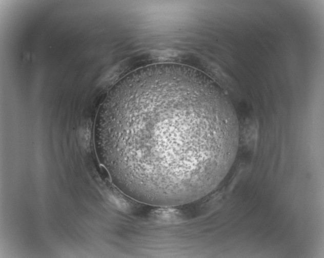 X0000062670427200512211340