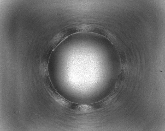 X0000062670429200512211340