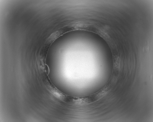 X0000062670430200512211340