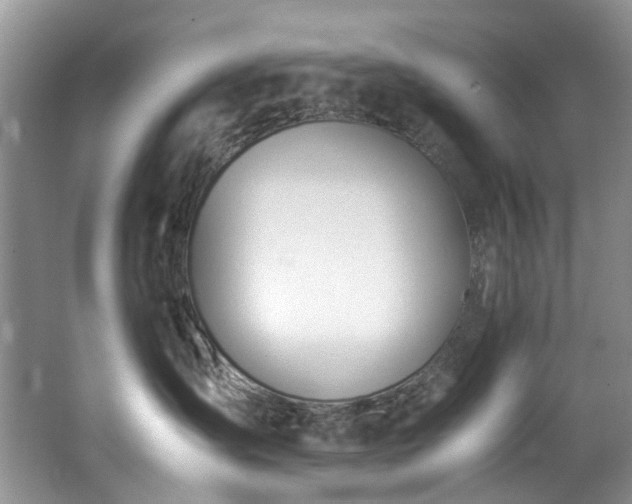 X0000062670431200512211340