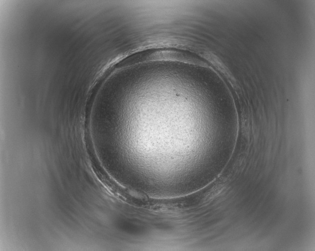 X0000062670434200512211339